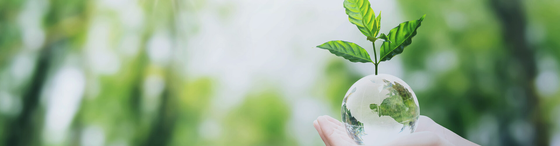 Corporate social responsibility